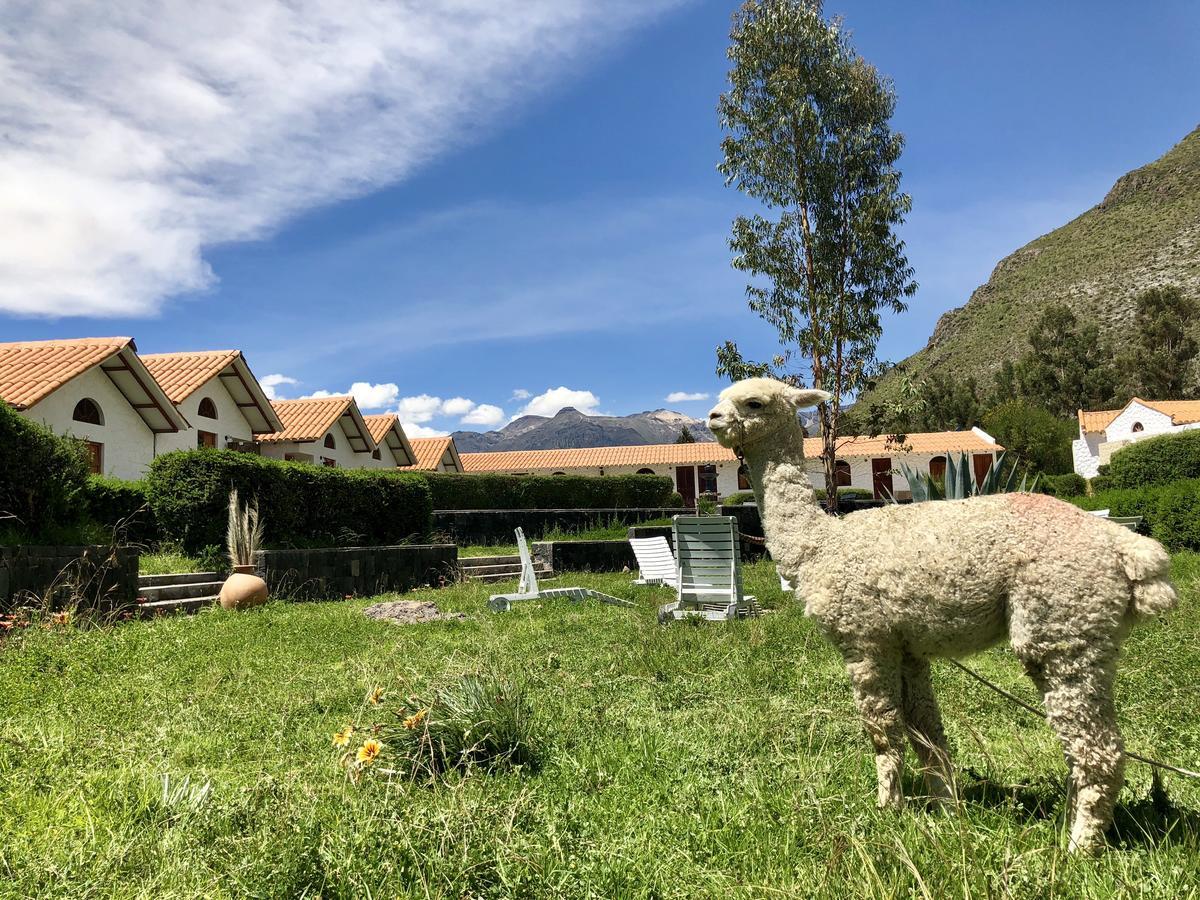 Casona Plaza Ecolodge Colca Yanque Eksteriør billede